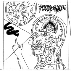 Mouthgate 2- Cryptococcus Wanderer
