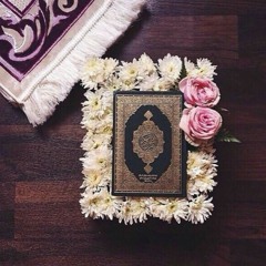 تلاوات عطره :"))❤