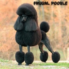 frugal poodle