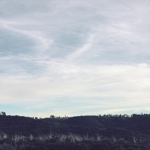 Ambient 20170115