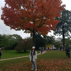 HE DECIDIDO SEGUIR A CRISTO