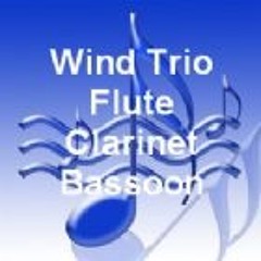 Small Trio (flute, clarinet, bassoon), 2016