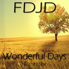 FDJD - Wonderful Days (REMIX)