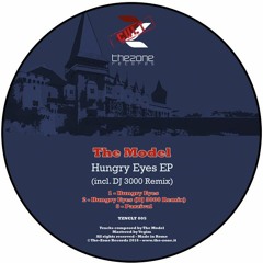 The Model - parzival (snippet) - Hungry Eyes EP, The Zone Records