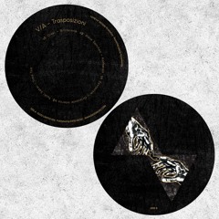 Oisel / Aleja Sanchez / Syntaxism / Yuuki Sakai - Trasposizioni | EVOD LTD 006 [Vinyl]