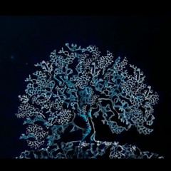 X  Kwanghee X Gaeko -   Your Night Feat  MP3 Audio