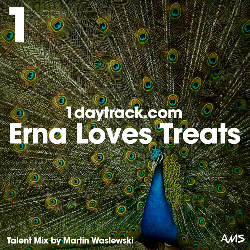 Talent Mix #59 | Martin Waslewski - Erna Loves Treats | 1daytrack.com