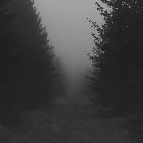 dreaming; a memoir