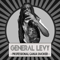 PROFESSIONAL GANJA SMOKER / GENERAL LEVY - BLAXX aka EAST BLAZE DUB PLATE