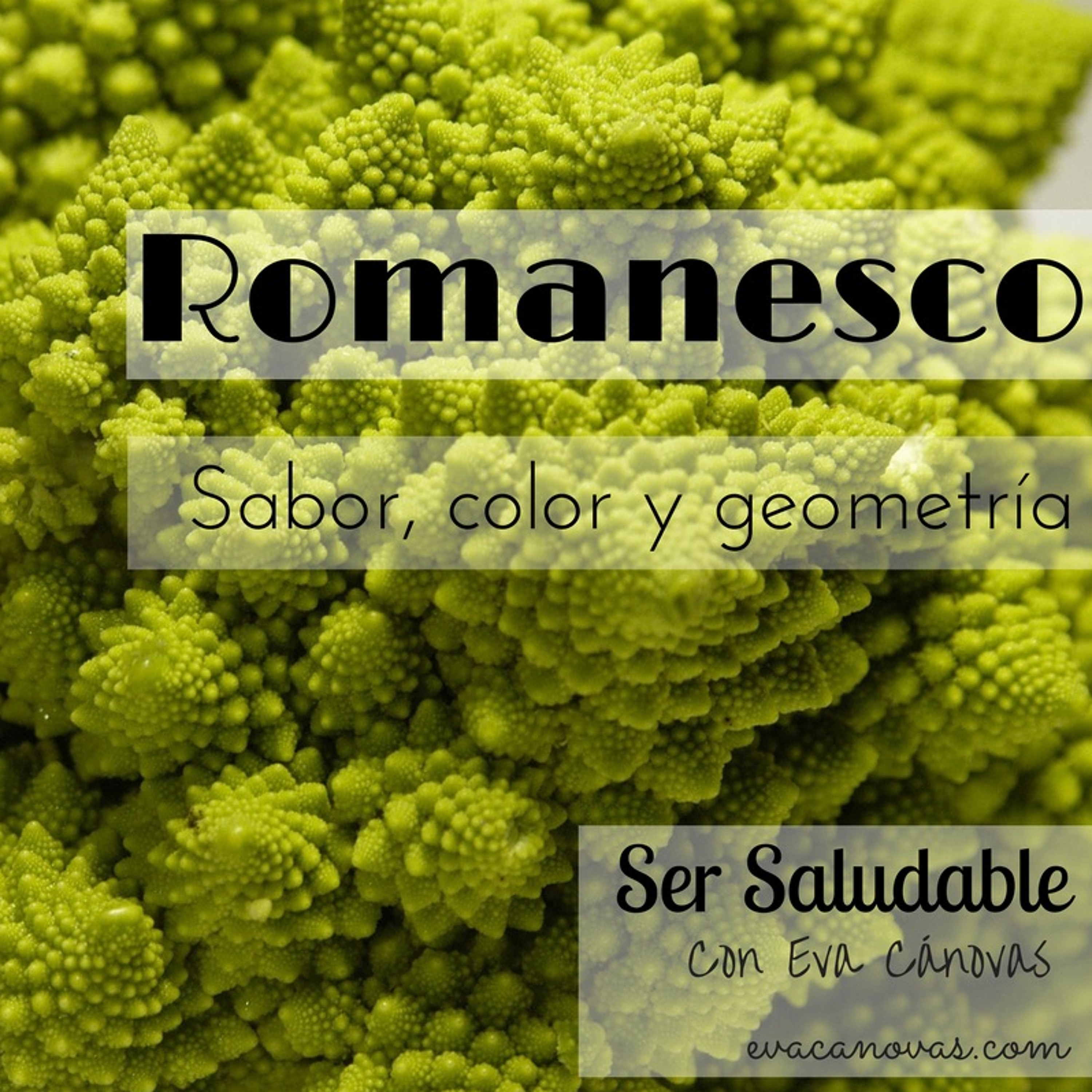 SER SALUDABLE 16 de Enero de 2017 episode artwork