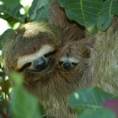 ryan's rotation ~ monday mix #158 ~ 1-16-17