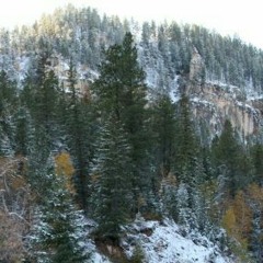 Cleveland Never Miss A Shot/ after midnight jams (Paul NMAS mtg) @ Evergreen, SD