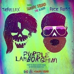 Skrillex ft. Rick Ross- Purple Laborghini(AC!DJ X DJOKE version)