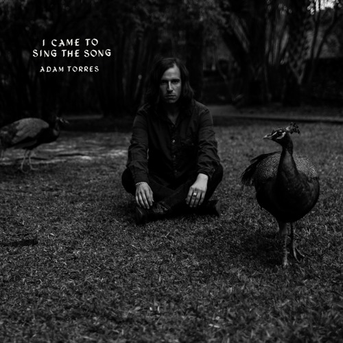 Adam Torres - I Came to Sing the Song