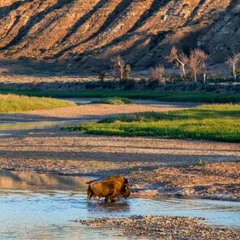 Paul NMAS/ Midnight water hour @ Evergreen, SD