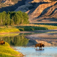 Tommy Never Miss A Shot/ morning round @ Evergreen, SD