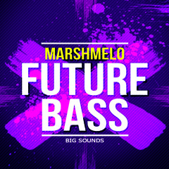 Big Sounds - Marshmelo Future Bass