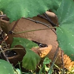 waiting for my friend