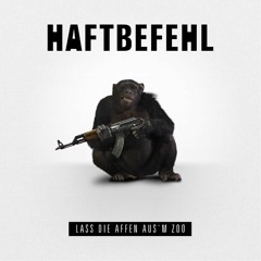Haftbefehl - Lass Die Affen Aus’m Zoo (Dj Q Remix)