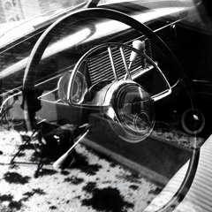 Flower On A High Peak