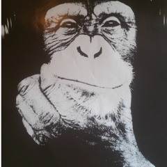 Monkey -The Tools You Have