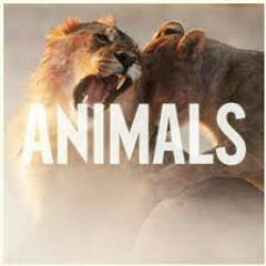 Animals - Maroon 5 (Slowed Audio) - pitch -6.06 - tempo- 83.mp3