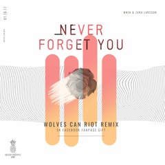 Never Forget You (WCRT Remix)