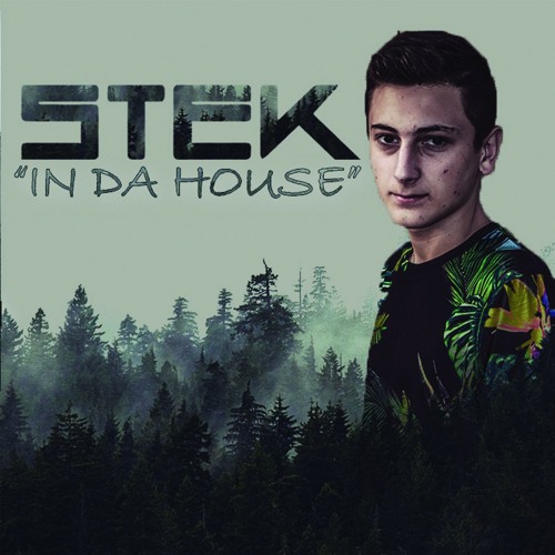 STEK - In Da House