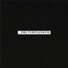 FATPIBE RADIO SHOW---TURTLENECK