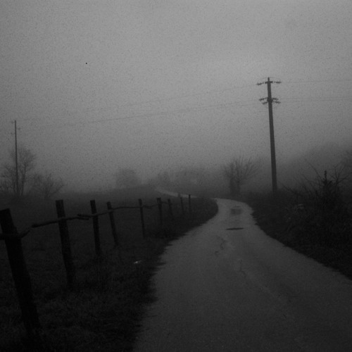 Ephemeral