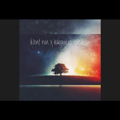 WontRun X Habanero X LilChris