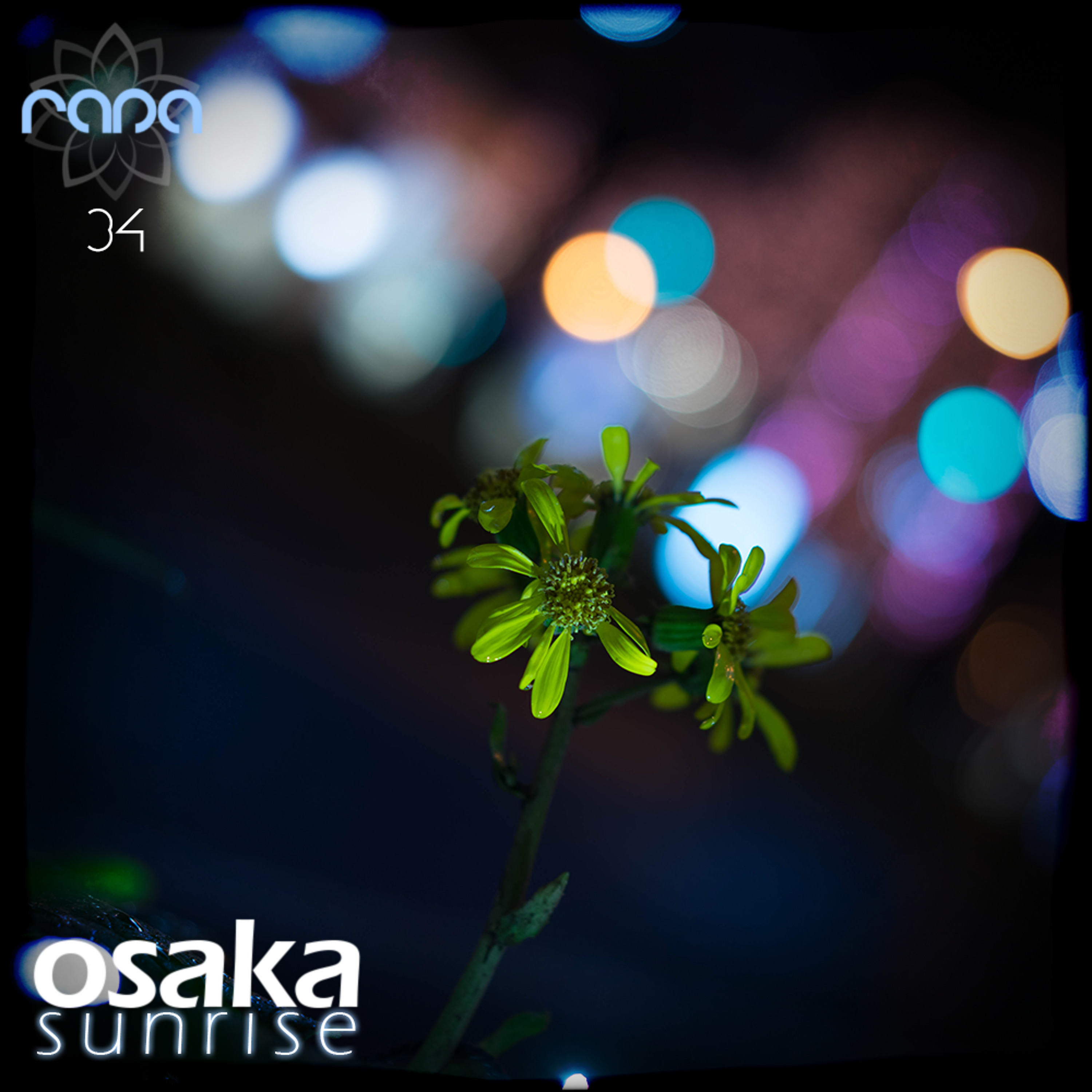 Osaka Sunrise