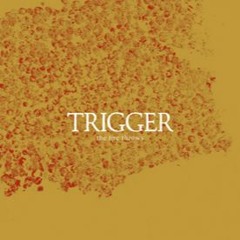 Trigger - Karst
