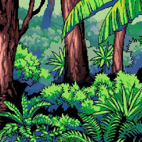 jungle part two