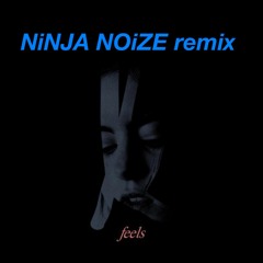 Kiiara - Feels (Ninja Noize Remix) [Mixshow Edit]