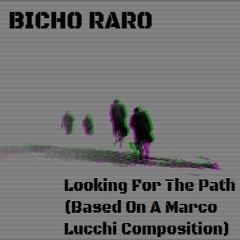 Bicho Raro - Looking For The Path (Based On A Marco Lucchi Composition)