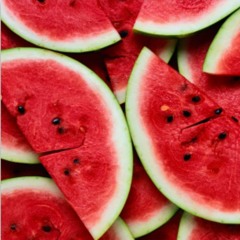 J Cole - No Role Modelz (KATANI Response)