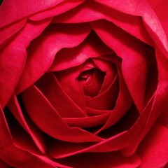 RodriguezAvila Hector Project1Prep