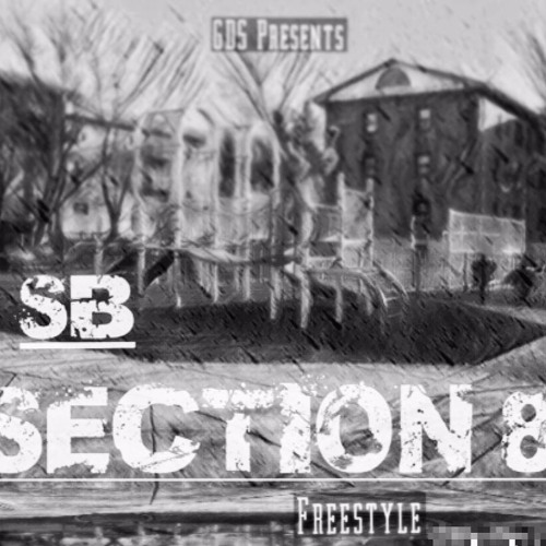 SB - Section 8