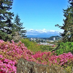 eugene summer (prod. Lao Wai 老外)