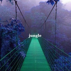 Jungle [Prod. by GXHST]