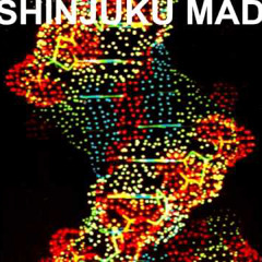 Shinjuku Mad - I'd Rather Go First