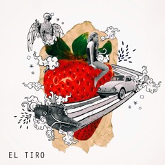 El Campo De Las Fresas