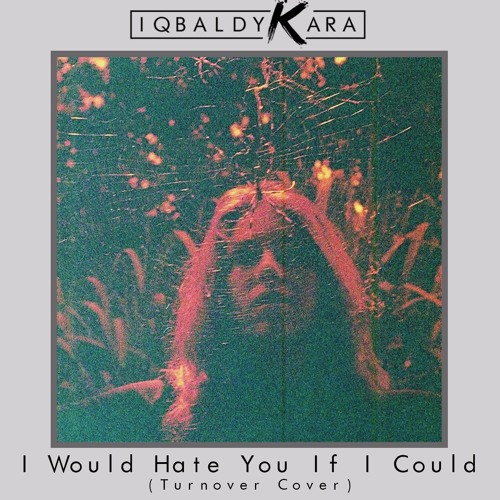 I Would Hate You If I Could (Turnover Cover)