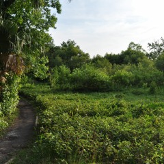 [I WILL MOVE ON] Yadrianne De Angel