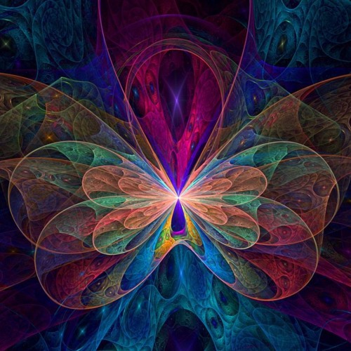 Ranji- Butterfly (BOOTLEG)