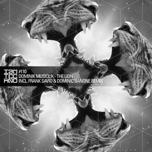 [IAMT110] Dominik Musiolik - The Lion (Frank Savio & Dominic Banone Remix)