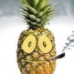 Growing Pineapple - EXSPRESS - 148