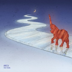 Theo Young - Anicca