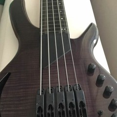 WILLCOX BASS DEMO